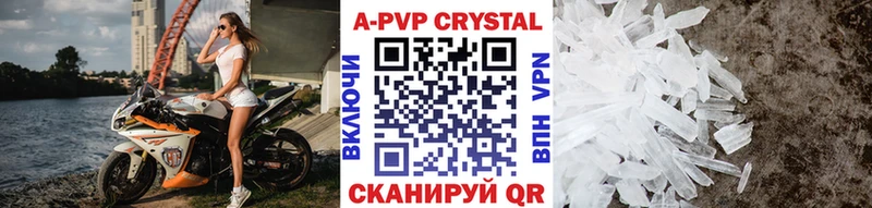 shop телеграм  дарнет шоп  Циолковский  A PVP СК 