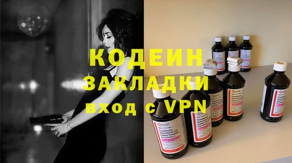 хмурый Белокуриха