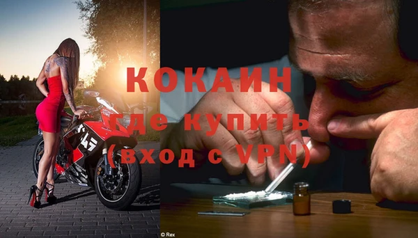 хмурый Белокуриха